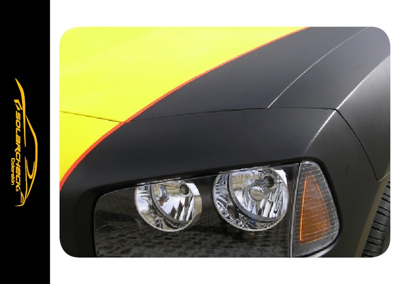 Disegno personalizzato opaco